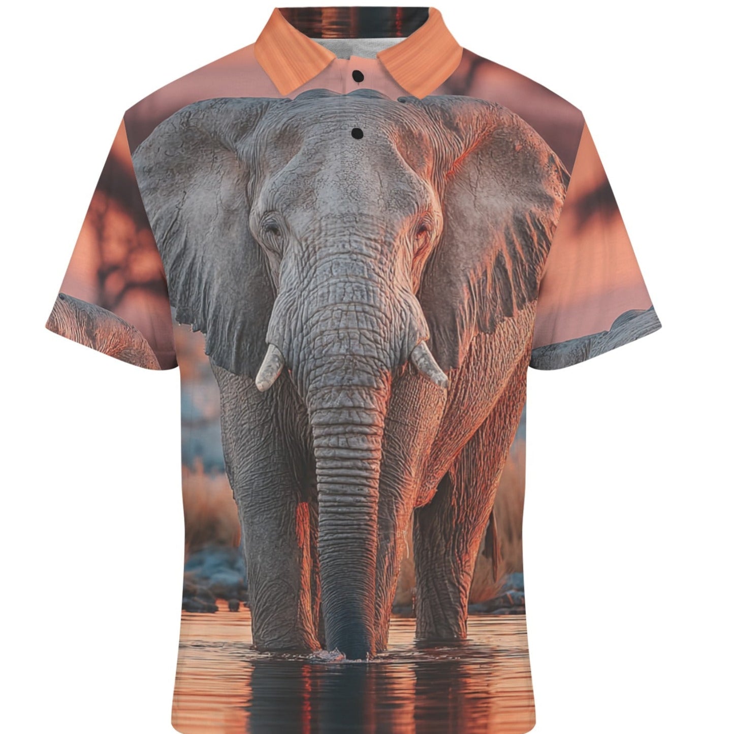 Shirt with an elephant design on a white background